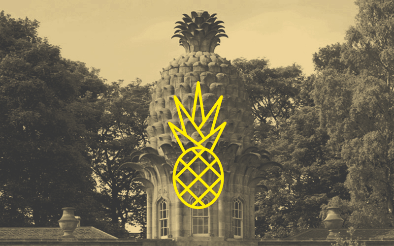 Signs & Symbols – Pineapple, The Princess of Fruit