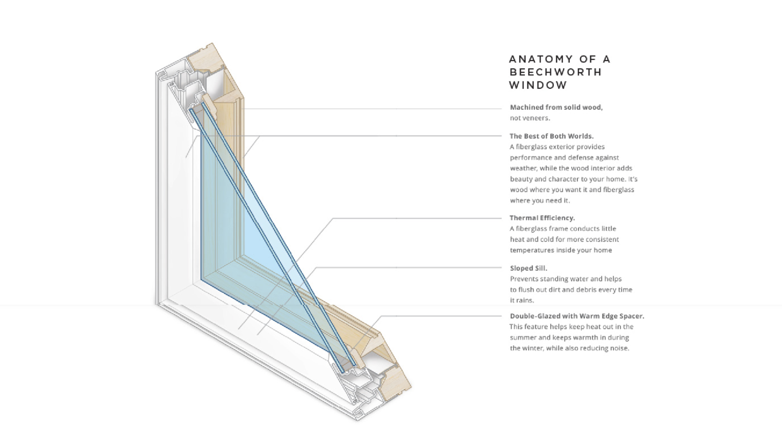 Schematic Illustration done for Beechworth Windows