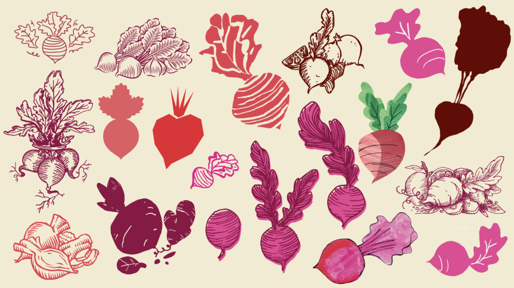 Beet Illustrations from various packaging design projects
