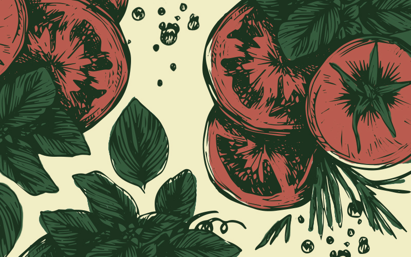CPG Packaging Illustration - Tomatoes