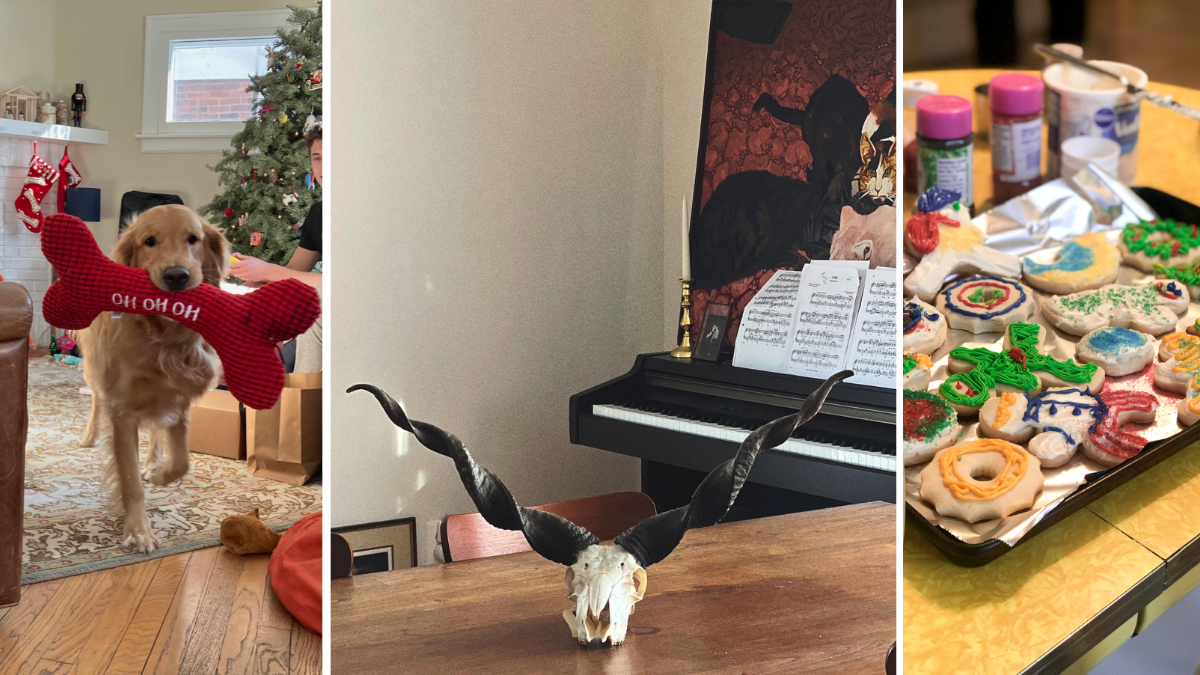Seedhouse News - Holiday presents, New Skull Purchase, Cookie Baking
