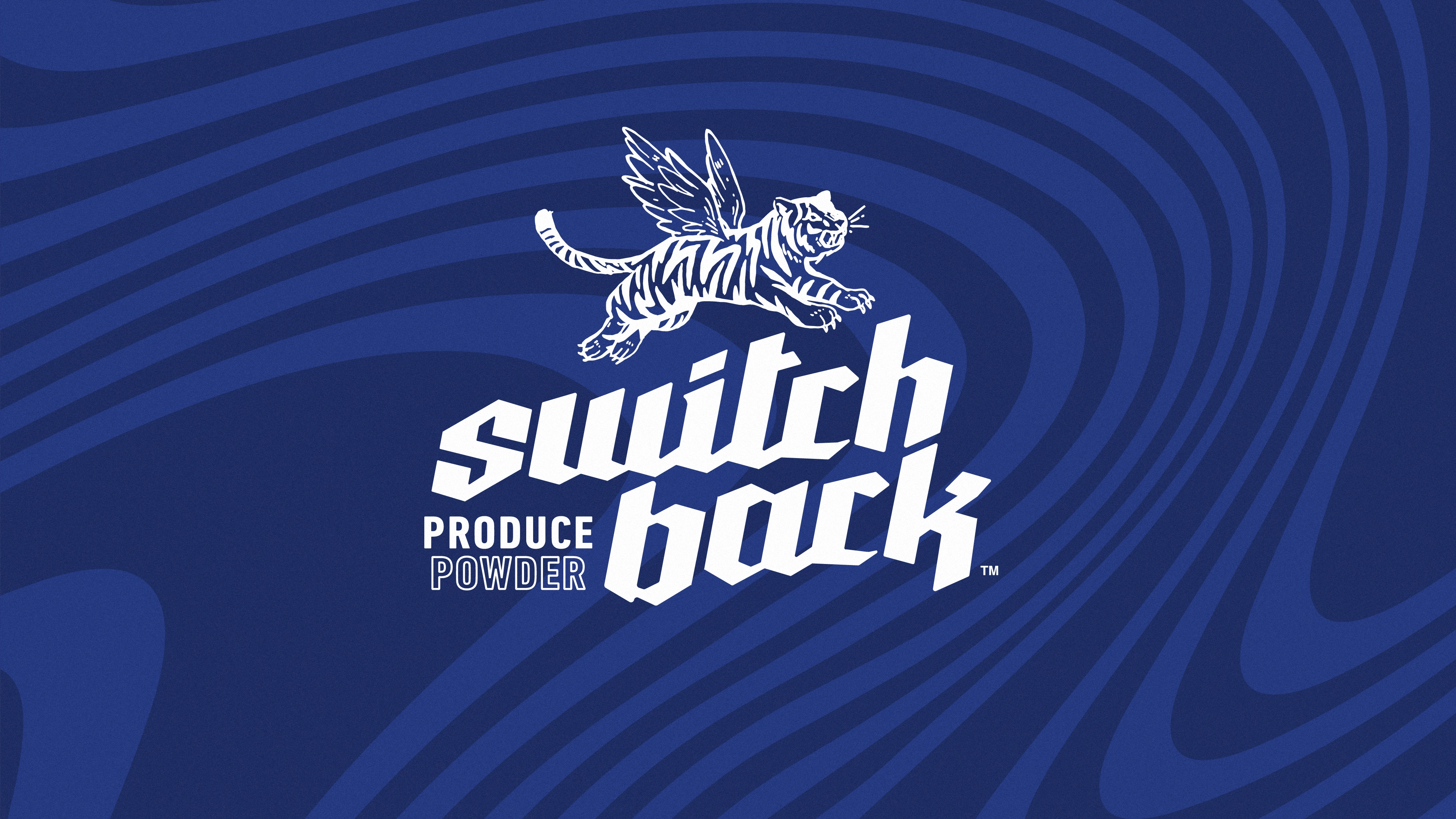 Switchback_CaseStudy_Logo