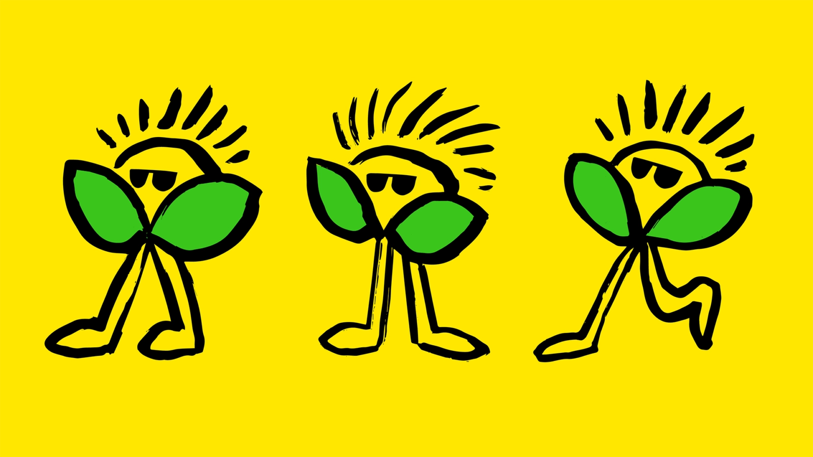 Jackson's Packaging Design - Portfolio Look