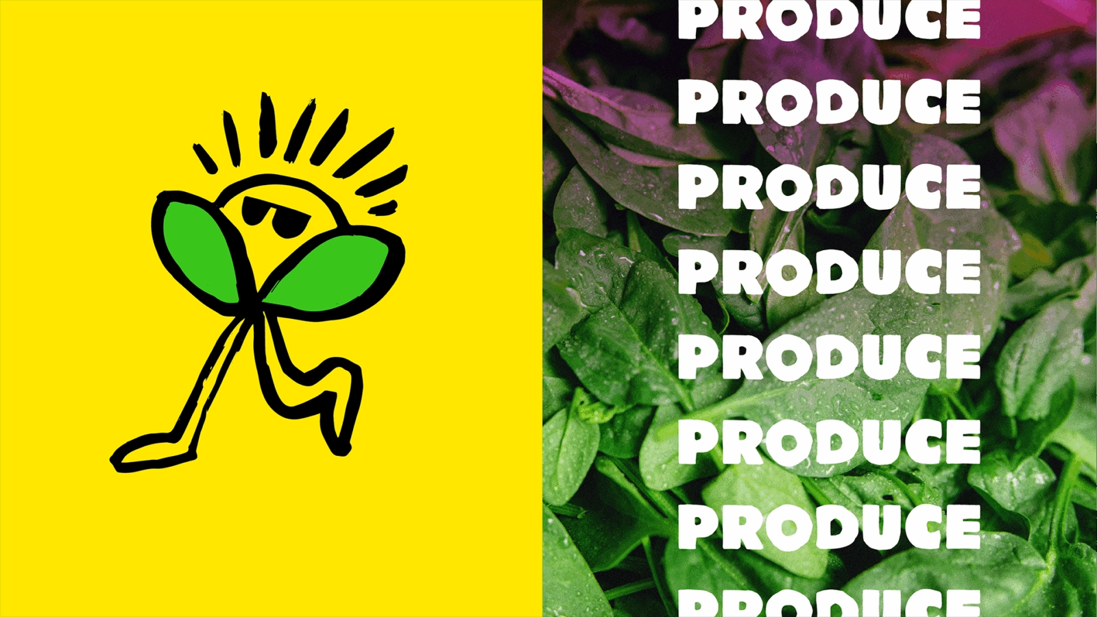 Jackson's Packaging Design - Portfolio Look