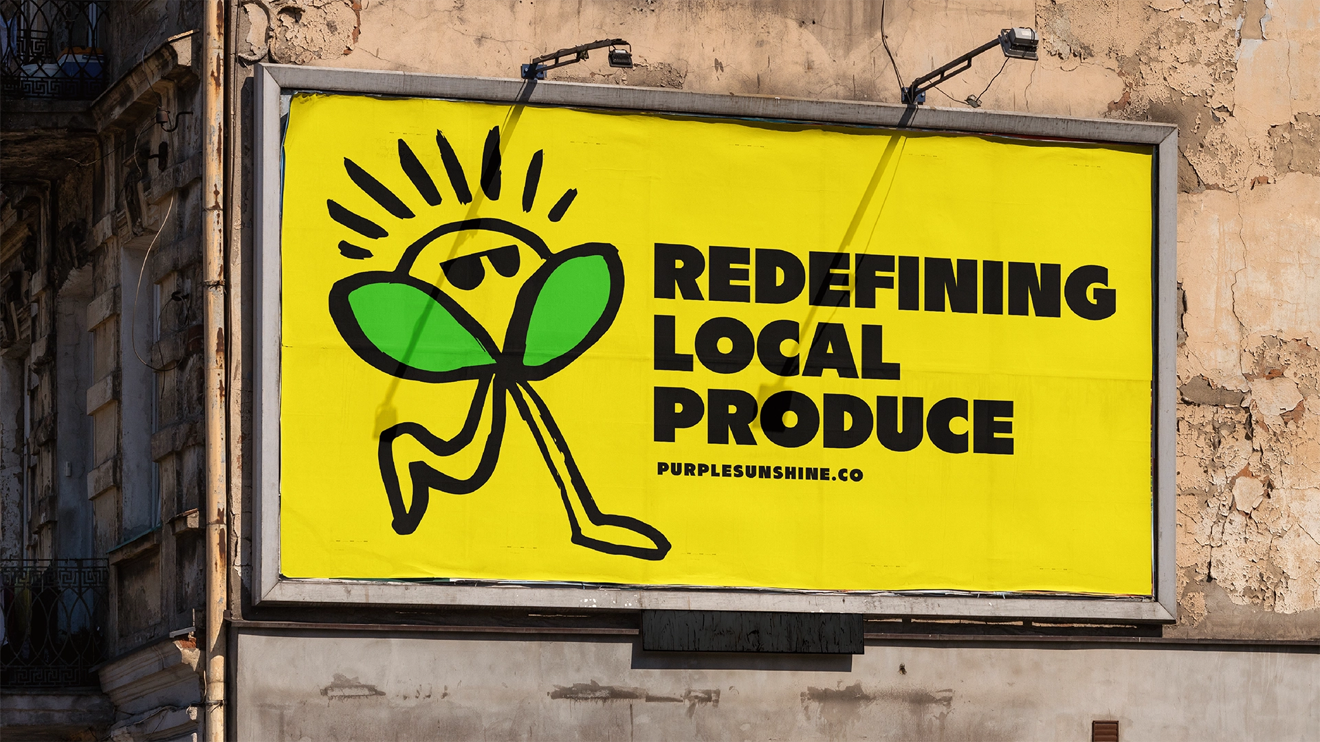 Jackson's Packaging Design - Portfolio Look