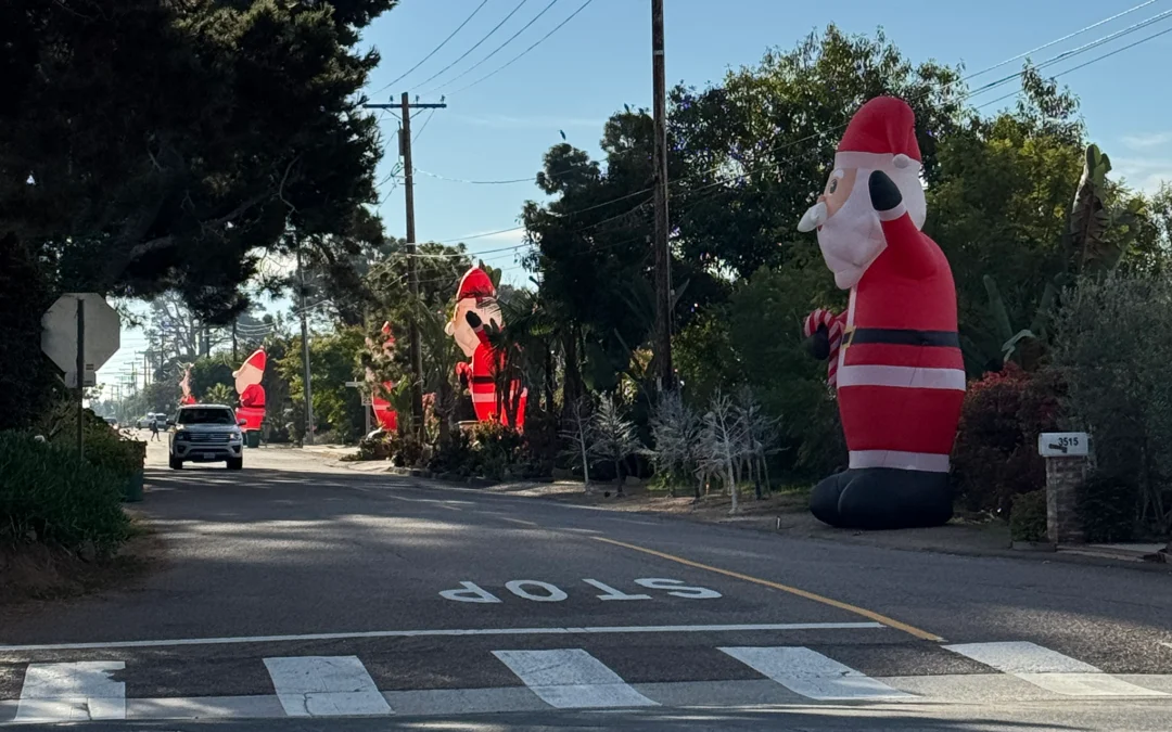 Movers and Shakers – Seedhouse Q4 News – 2025