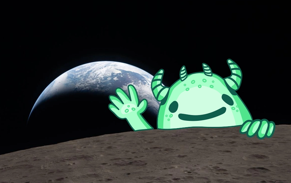 Rock Steady – Seedhouse Q1 News – 2026